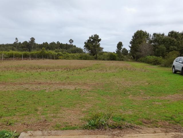 Agrícola en San Ignacio