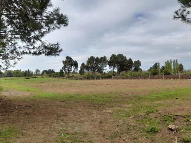 Agrícola en San Ignacio