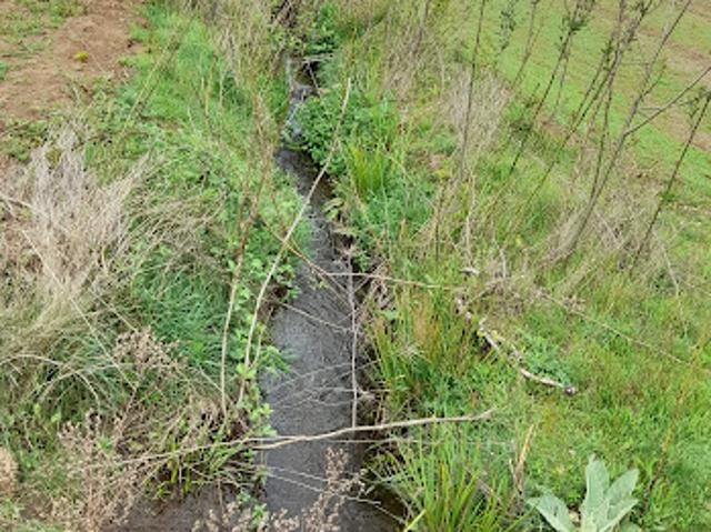 Agrícola en San Ignacio
