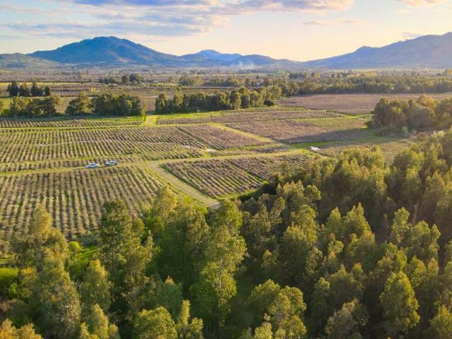 Terreno en venta en San Javier, Maule