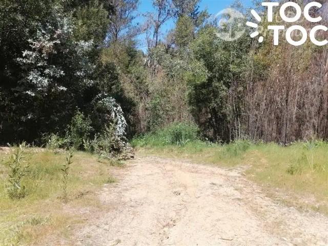 Terreno en venta en Santa Juana, Biobío