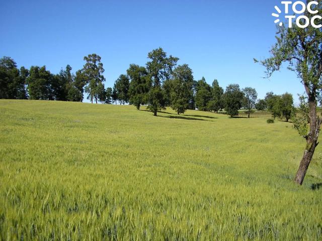 Terreno en venta en Tucapel, Biobío