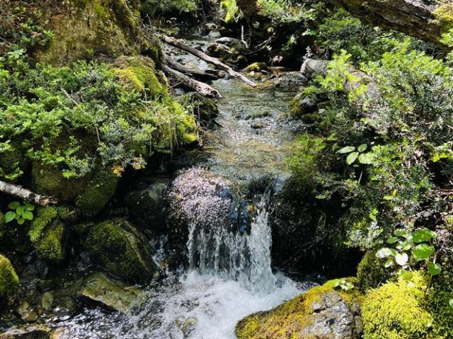 Agrícola en Venta en Bahia Murta