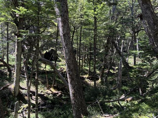 Agrícola en Venta en Bahia Murta