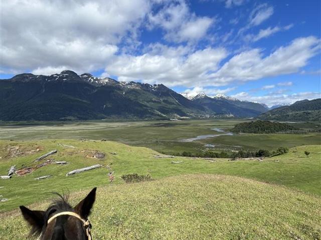 Agrícola en Venta en Bahia Murta