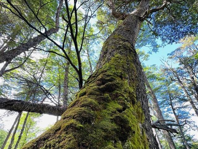 Agrícola en Venta en Bahia Murta