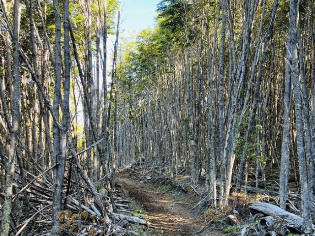 Agrícola en Venta en Bahia Murta