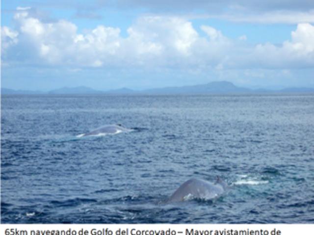 Agrícola en Venta en Canal Cay lote 29