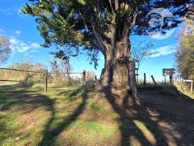 Casa en venta en Quilaco, Biobío