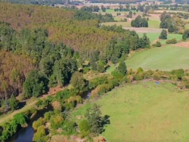Casa en venta en Fresia, Los Lagos