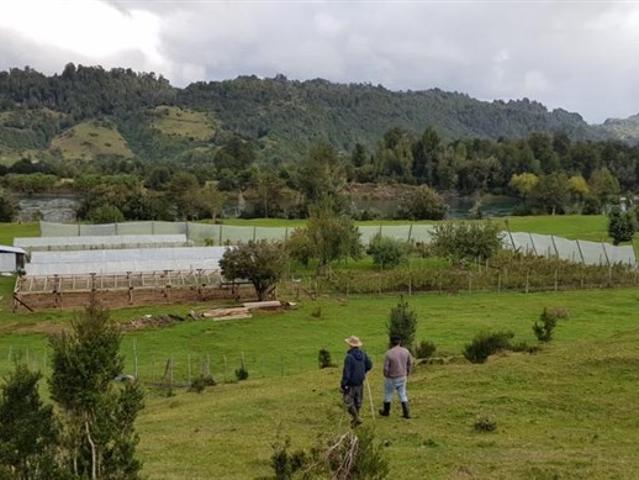 Agrícola en Venta en La Junta