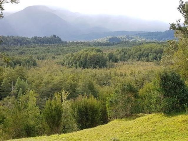 Agrícola en Venta en La Junta