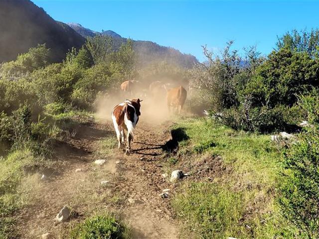 Agrícola en Venta en Lago Verde