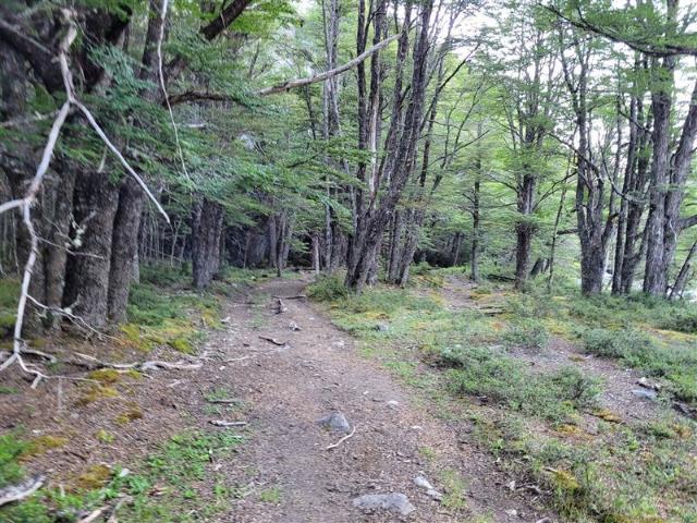 Agrícola en Venta en Lago Verde