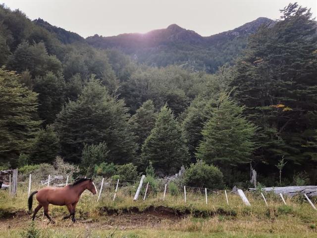 Agrícola en Venta en Lago Verde