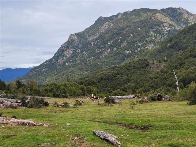 Agrícola en Venta en Lago Verde