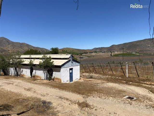 Agrícola en Venta en Monte Patria