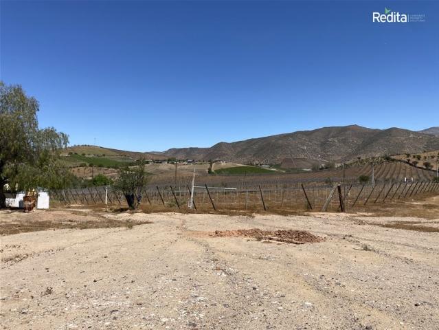 Agrícola en Venta en Monte Patria