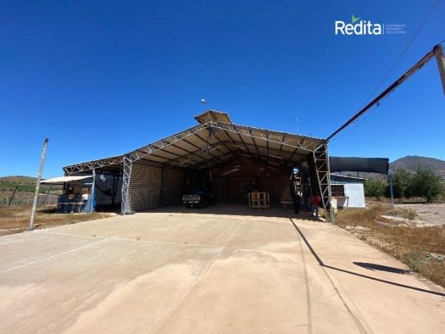 Agrícola en Venta en Monte Patria