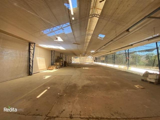 Agrícola en Venta en Monte Patria