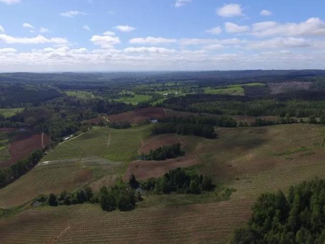 Casa en venta en Fresia, Los Lagos