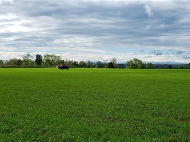 Agrícola en Venta en Río Bueno