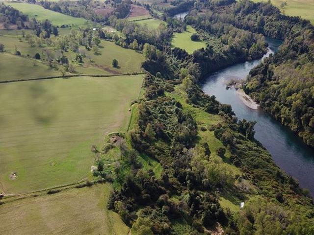 Agrícola en Venta en Río Bueno