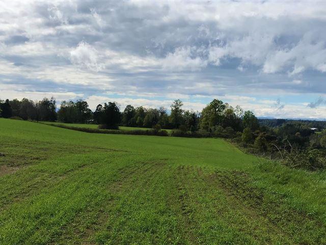 Agrícola en Venta en Río Bueno