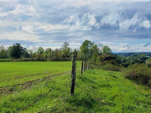 Agrícola en Venta en Río Bueno