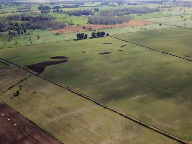 Agrícola en Venta en Río Bueno