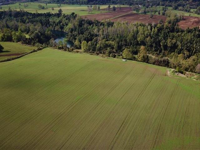 Agrícola en Venta en Río Bueno