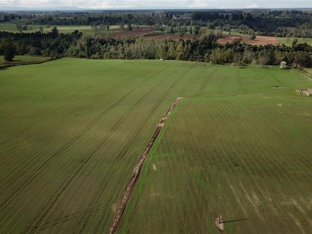 Agrícola en Venta en Río Bueno
