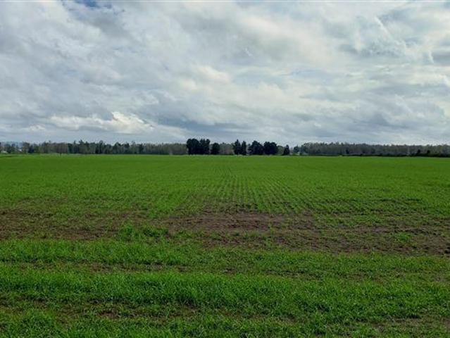 Agrícola en Venta en Río Bueno