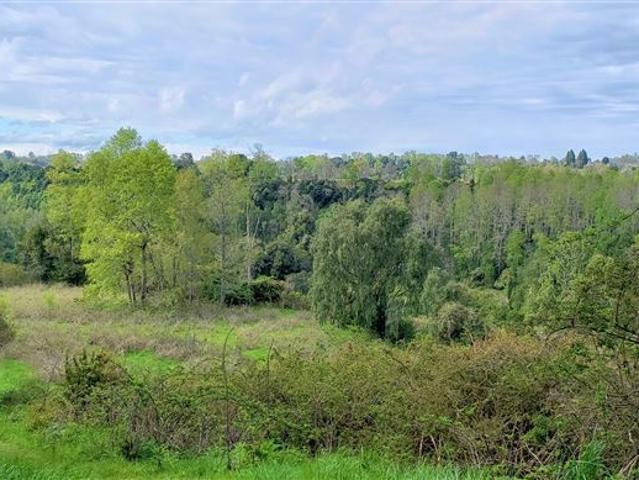 Agrícola en Venta en Río Bueno