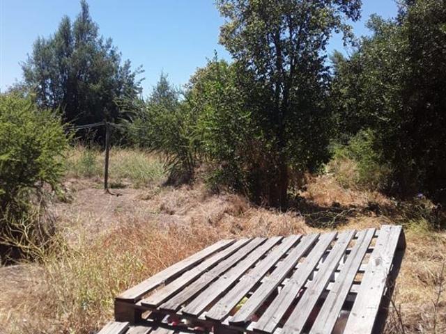 Agrícola en Venta en San Pedro de Melipilla,cruce Las Arañas
