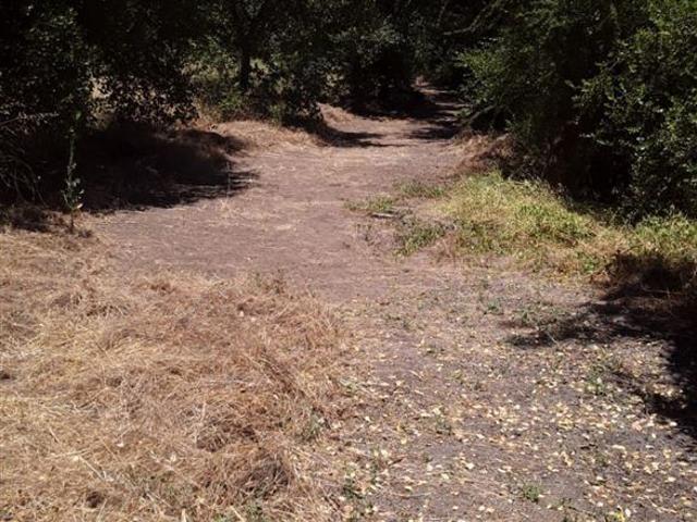 Agrícola en Venta en San Pedro de Melipilla,cruce Las Arañas