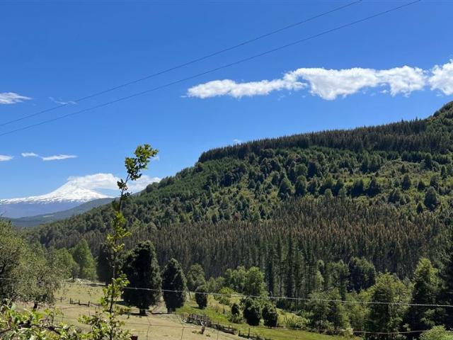 Agrícola en Venta en TERMAS DE MOLULCO, MELIPEUCO