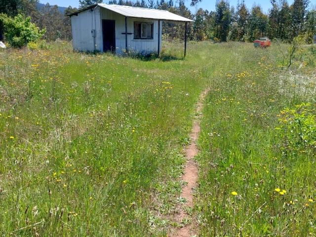 Terreno en venta en Yumbel, Biobío