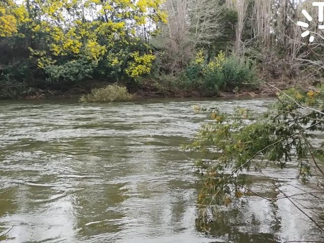 Terreno en venta en Yungay, Provincia de Diguillín