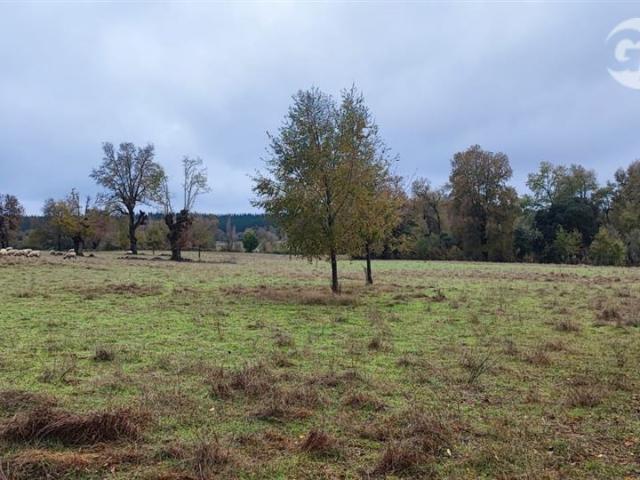 Terreno en venta en Yungay