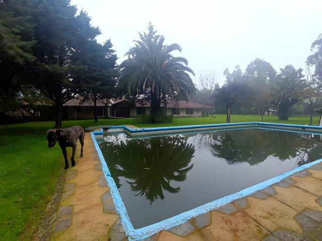 Agrícola en Ñiquén