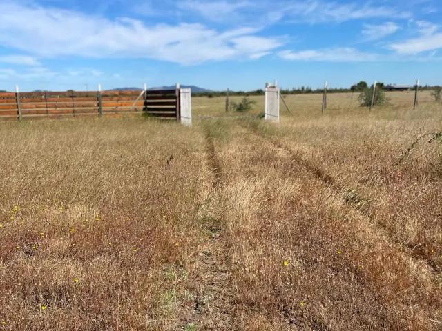 Agrícola en Ñiquén
