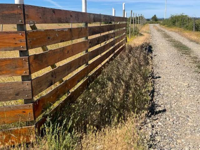 Agrícola en Ñiquén