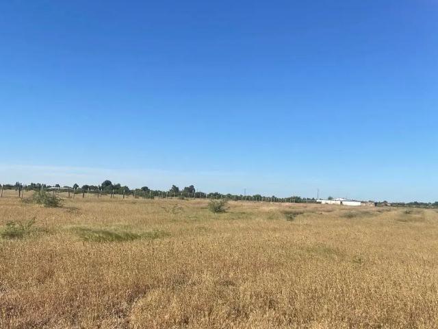 Agrícola en Ñiquén