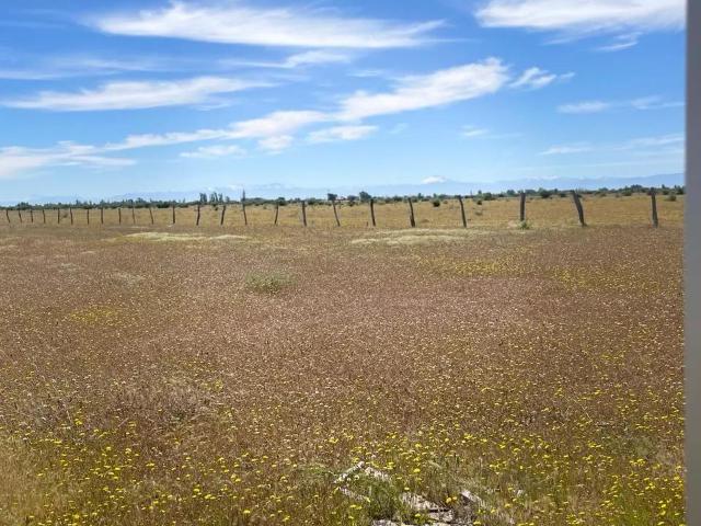 Agrícola en Ñiquén