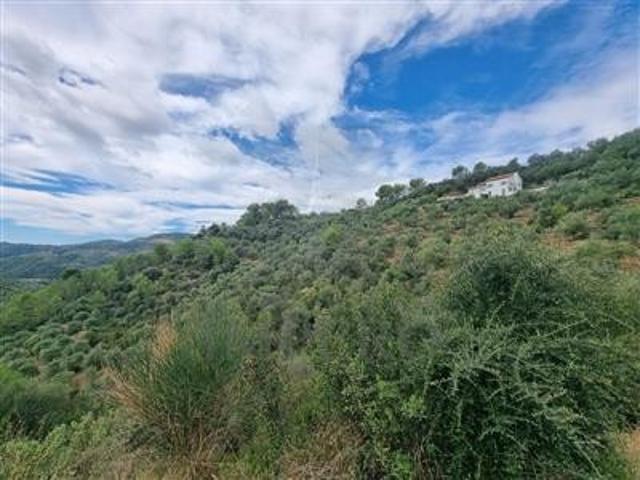 Rustico in vendita a Dolceacqua, Provincia di Imperia