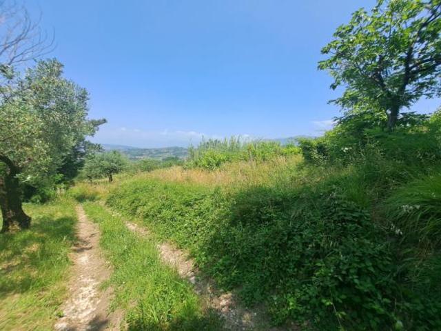 Terreno in vendita a Sant'agata De' Goti, Campania