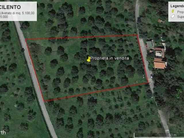 Terreno in vendita a Stella Cilento, Campania