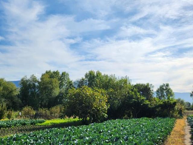 Terreno in vendita a Sarno, Campania