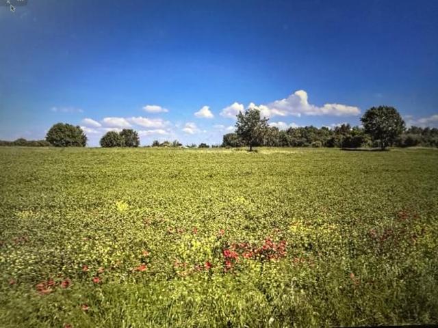 Terreno in vendita a Gioiella, Umbria